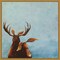 Friends (Moose) by Lucia Stewart 16-in. W x 16-in. H. Canvas Wall Art Print Framed in Gold